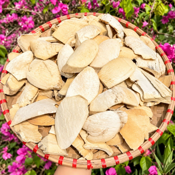 Sâm Bổ Béo Khô (Bùi Béo Trắng) – Công Dụng | Búpxanh