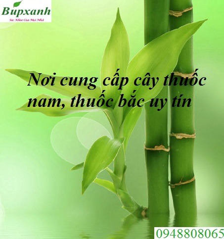 dia_chi_ban_thuoc_y_hoc_co_truyen