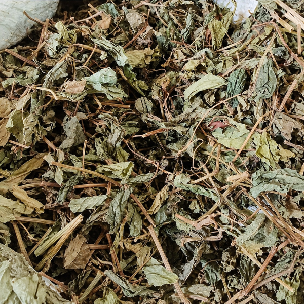 C&acirc;y L&aacute; Lốt Kh&ocirc;: C&ocirc;ng Dụng, Liều D&ugrave;ng, C&aacute;ch Sắc | B&uacute;pxanh