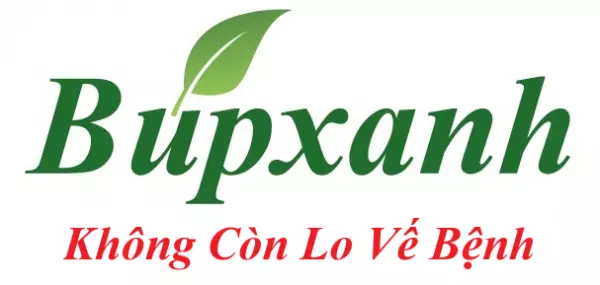 Búpxanh, thảo dược, dược liệu, thuốc nam, thuốc đông y