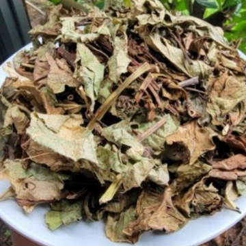 Rau Muống Biển Có Tác Dụng Gì? Công Dụng Và Bằng Chứng