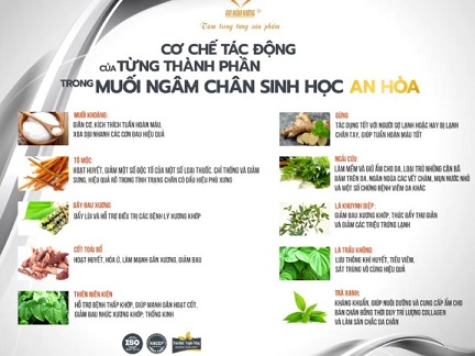 thanh_phan_cua_muoi_ngam_chan_sinh_hoc_an_hoa