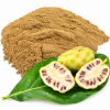 Bột Nhàu – Bột Trái Nhàu Khô, Dược Liệu Noni