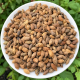 Quả Ké Đầu Ngựa Khô – Thương Nhĩ Tử, Túi 1kg