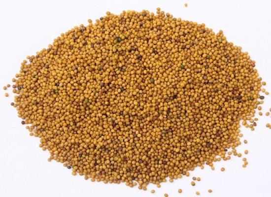 Bạch Giới Tử – Hạt Cải Trắng Khô, Công Dụng Và Liều Dùng