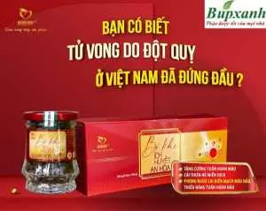 Bổ khí ích huyết an hòa