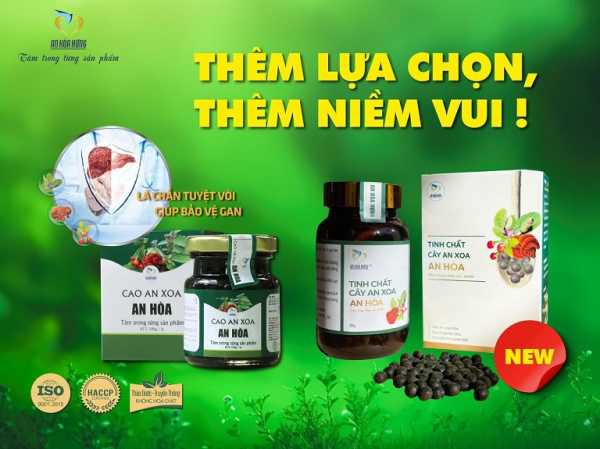 Tinh chất cây an xoa an hòa - bảo vệ chức năng gan