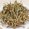 Cà Gai Leo Khô – Thân Lá Cắt Đoạn, Túi 1kg | Búpxanh
