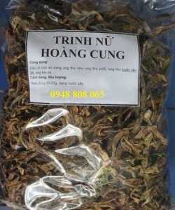 Trinh nữ hoàng cung