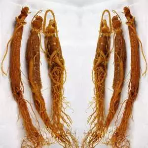 Hồng sâm