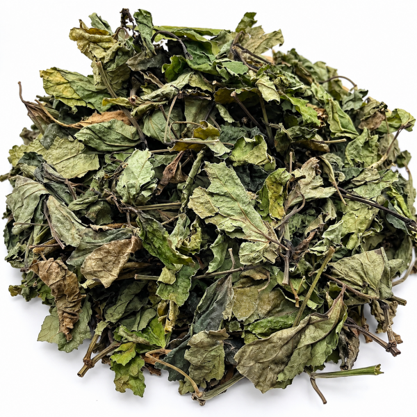 Cây lá lốt khô
