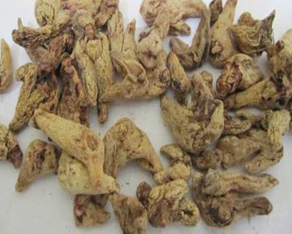 Bạch Cập – Thân Rễ Khô, Công Dụng, Cách Dùng Và Liều Tham Khảo
