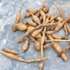 Cát Sâm Khô – Sâm Nam, Sâm Trâu, Túi 1kg