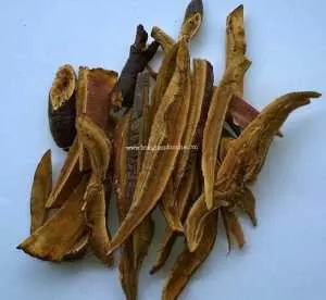 Nấm Lim Xanh Tự Nhiên 250g
