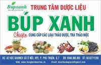Dịch vụ