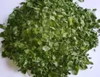 Cây chùm ngây chữa bệnh gì