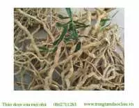 Địa chỉ bán xáo tam phân tại bắc ninh