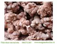 Địa chỉ bán tam thất tại thanh hóa