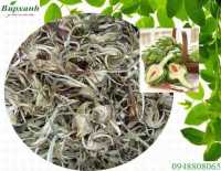 Mua bông atiso ở đâu