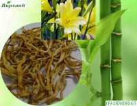 Mua hoa kim châm ở đâu