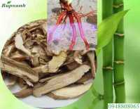 Cây sâm cau bán ở đâu