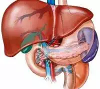 Giải độc gan bằng cây an xoa