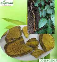 Cây hoàng đằng chữa bệnh gì