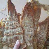 Mua măng khô ở đâu ngon
