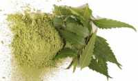 Mua lá neem ấn độ ở đâu