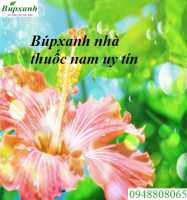 Địa chỉ nhà thuốc nam tại cao bằng
