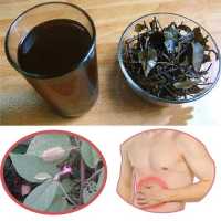 Những lý do nên sử dụng cao an xoa để chữa bệnh