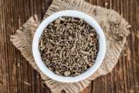Cây nữ lang có công dụng rất tốt trong việc điều trị tình trạng mất ngủ, điều trị viêm loét dạ