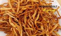 Địa chỉ mua bán hoa kim châm – cây hoa hiên tại bình định