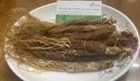 Địa chỉ mua bán sâm cao ly - hồng sâm ở sóc trăng