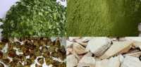 Địa chỉ mua bán lá chùm ngây, trà chùm ngây, bột chùm ngây, rễ chùm ngây, bột chùm ngây ở tp hồ chí minh