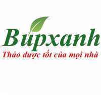 Khám phá thảo dược Việt: Cuộc đua trồng thảo dược