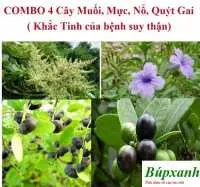 Nhiều bệnh nhân đã khỏi bệnh hội chứng thân hư nhờ bài thuốc nam giá rẻ