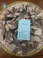 Người bình thường có uống được cây an xoa không, Uống cây an xoa nhiều có tốt không