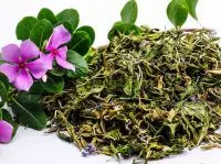 Cây trường xuân, hoa hải đằng, bông dừa, dương giác