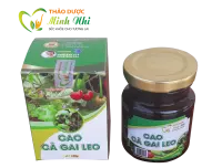 Có nên uống cà gai leo hàng ngày