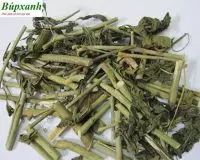 Cây bìm bịp có độc không, uống nhiều có tốt không