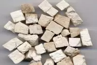 Bạch linh (Bạch phục linh) – Dược liệu quý bồi bổ tỳ vị, an thần, lợi tiểu