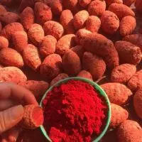 CÁCH VÀO NGHỆ CHO GÀ ĐÒN – DA ĐẸP, SĂN CHẮC, BỀN ĐÒN VÀ ÍT THƯƠNG TÍCH