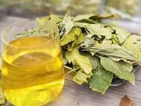 Chè Dung – Thảo Dược Thanh Nhiệt, Giải Độc, Hỗ Trợ Dạ Dày Và Giảm Cân Hiệu Quả