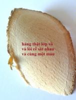 Địa Chỉ Bán Xáo Tam Phân Uy Tín Chất Lượng Cao Tại Búp Xanh