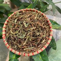 Địa Chỉ Bán Cây Nghể Răm Chất Lượng Cao Tại Búp Xanh – Công Dụng, Cách Dùng Và Những Bài Thuốc Dân Gian Hiệu Quả