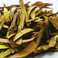 Địa Chỉ Bán Rễ Cây Mật Gấu Chất Lượng Tại Búp Xanh – Dược Liệu Tự Nhiên Được Nhiều Người Tin Dùng