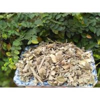 Địa Chỉ Bán Cây Cối Xay – Nhĩ Hương Thảo Khô Chất Lượng, Sạch, Uy Tín Tại Búpxanh