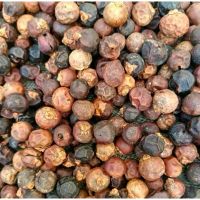 Trái Đủng Đỉnh Hỗ Trợ Đau Nhức Xương Khớp: Công Dụng Và Lưu Ý