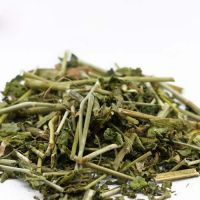 Cây bìm bịp, xương khỉ, mảnh cộng có phải là một cây không?